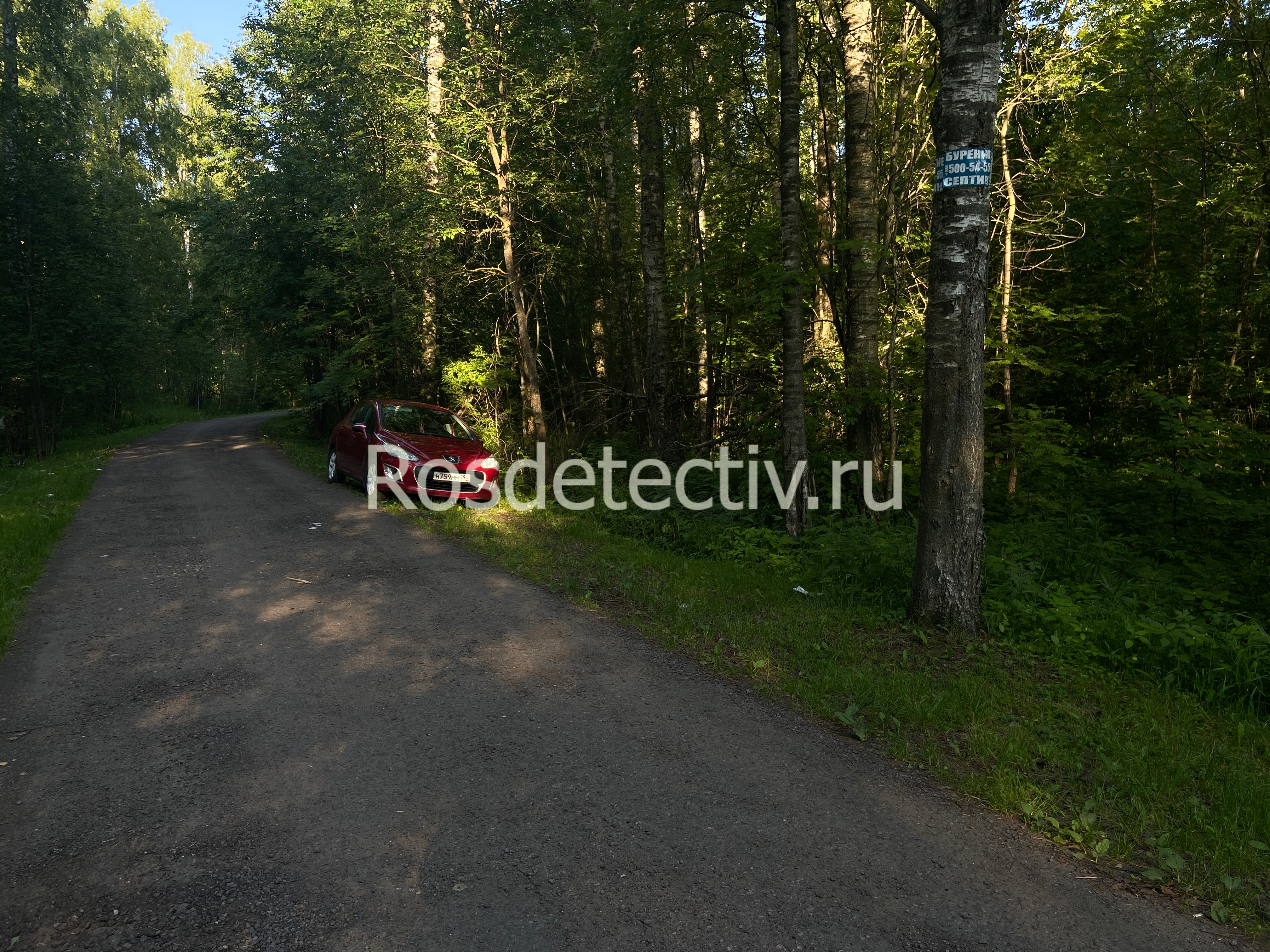 Дактилоскопия
